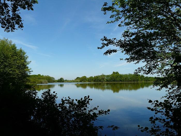 Etang-Dombes