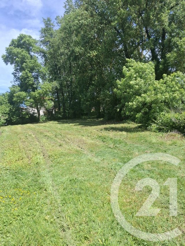 terrain - ST DIDIER DE FORMANS - 01