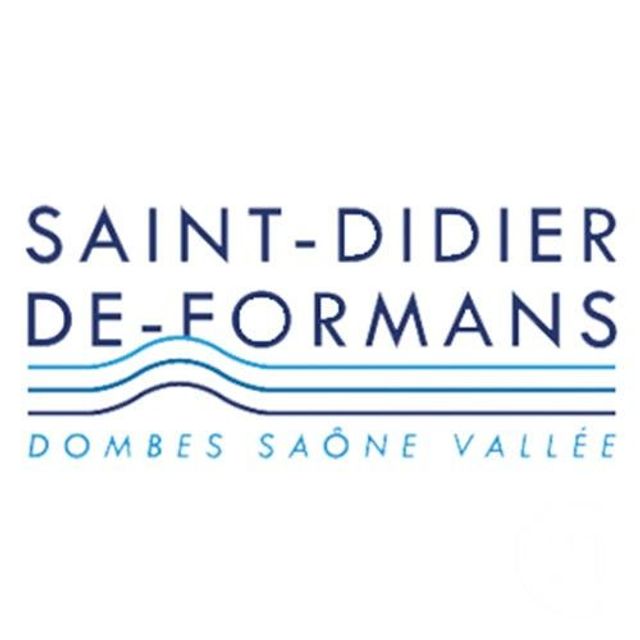 terrain à vendre - 1068.0 m2 - ST DIDIER DE FORMANS - 01 - RHONE-ALPES - Century 21 L'Immobilière Des Combattants